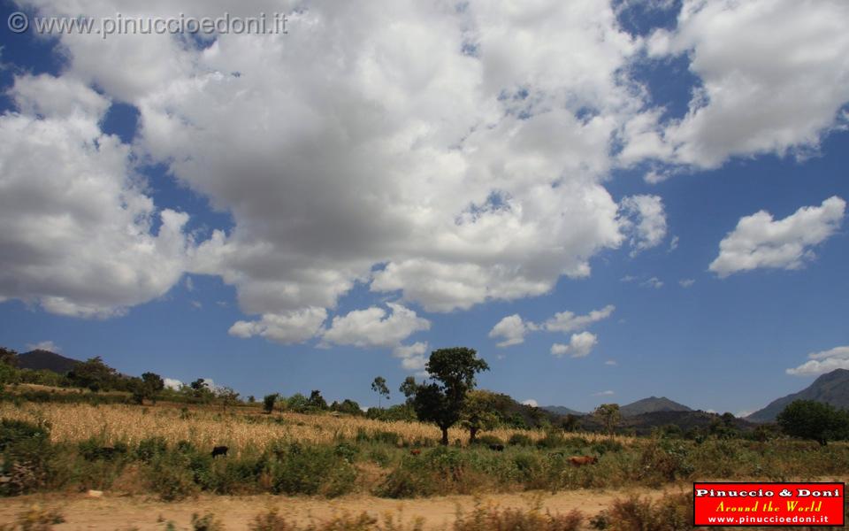 Ethiopia - Sulla strada per Turni - 16.jpg